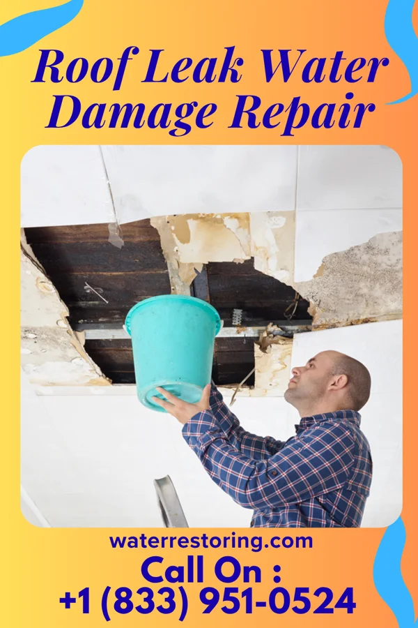 Roof Leak Water Damage Repair in Corcoran, MN